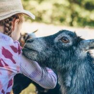 Farm fun little kids