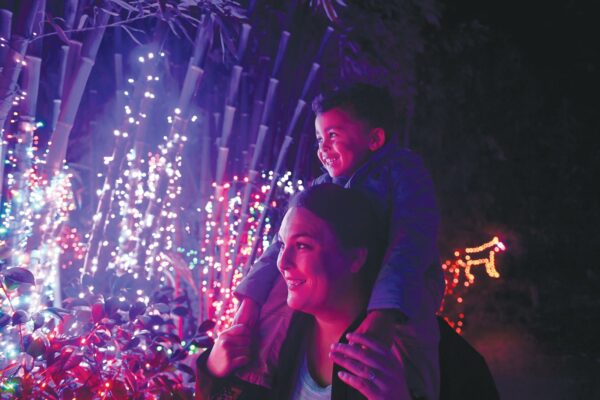 Holidays 2022: Lights