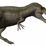 Crosscut easy bill tracker