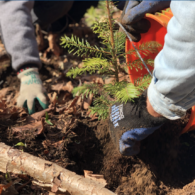 EarthCorps family kids volunteers