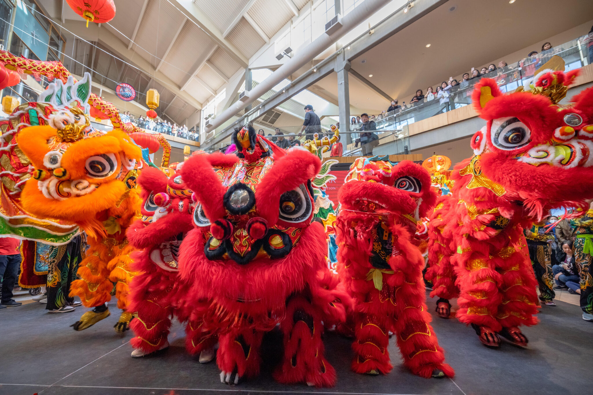 lunar new year