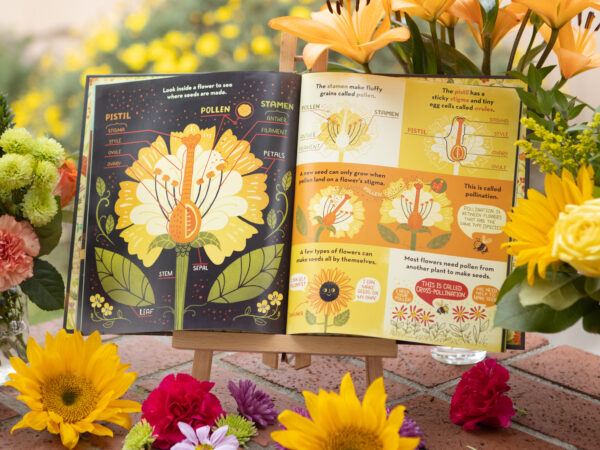 What's inside a flower seattle