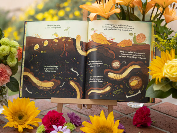 What's inside a flower seattle