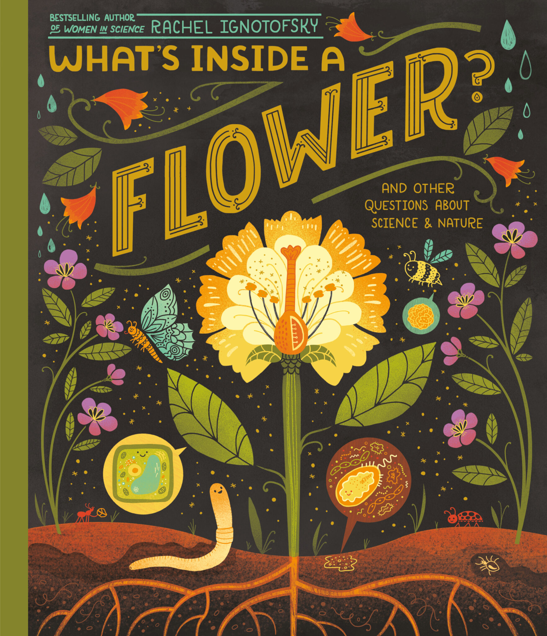 What's inside a flower seattle