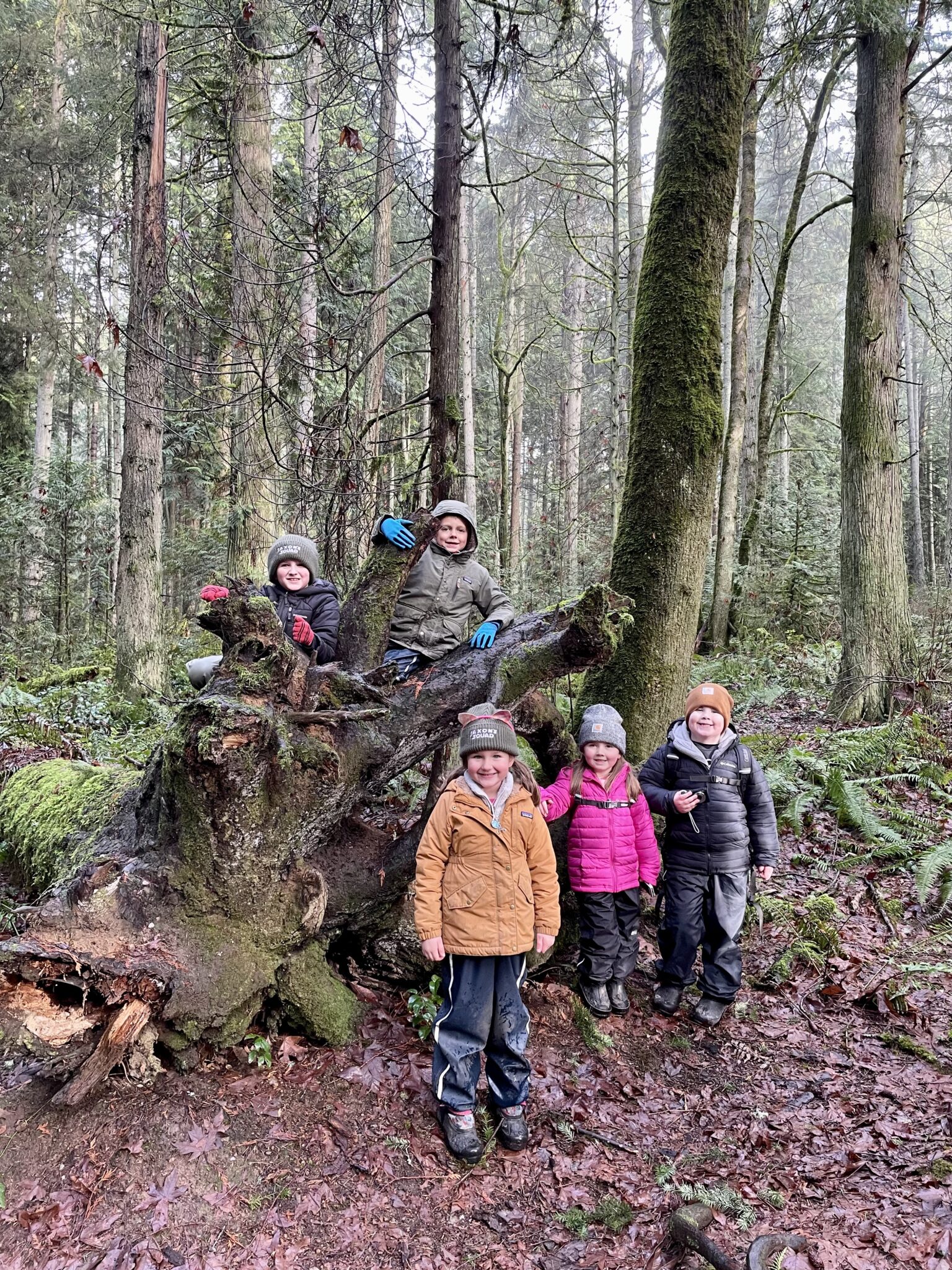 Kids pose next to a tree trunk on a hike. 