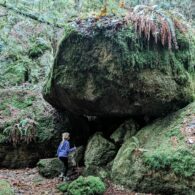 Greeter Rock Cougar Mountain