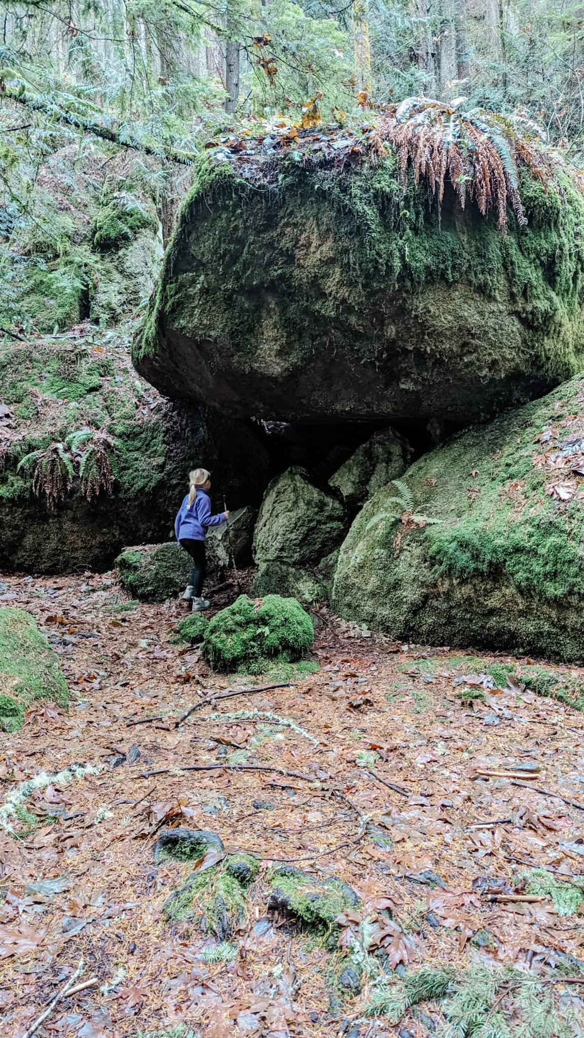 Greeter Rock Cougar Mountain