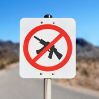 Washington Assault weapons ban