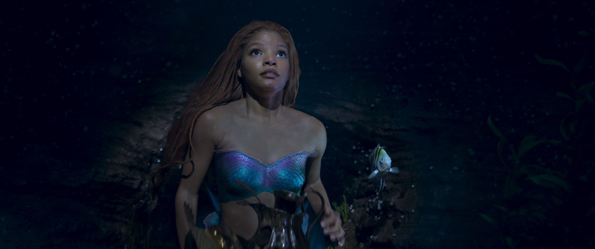 The Little Mermaid and Flounder looking to the ocean's surface.
