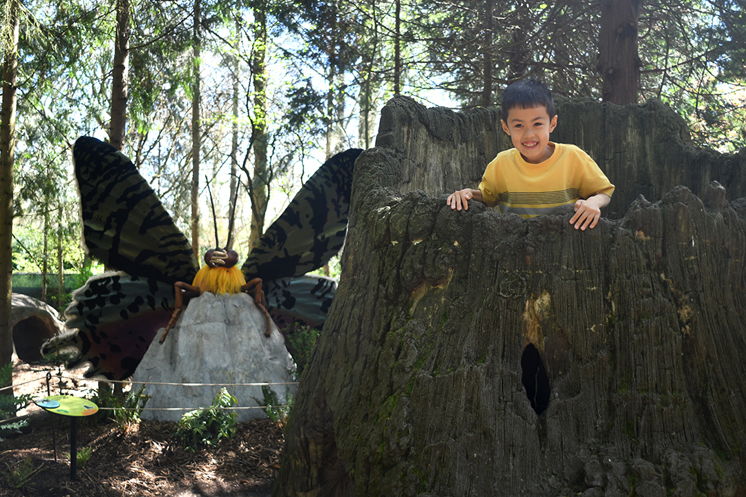 Take a photo with a bug sculpture at Woodland Park Zoo