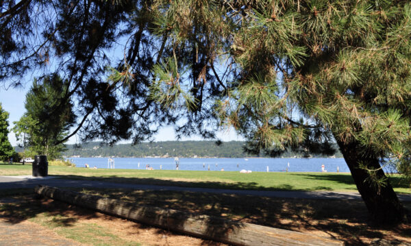 Mathews Beach on Lake Washington in north Seattle.