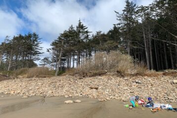 Plan on bringing sand toys and small plastic trucks and the kids with spend hours playing on the beach.