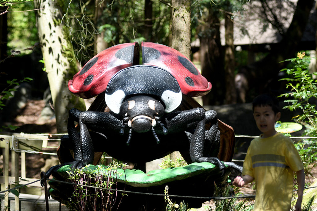 A ladybug sculpture at the Woodland Park Zoo