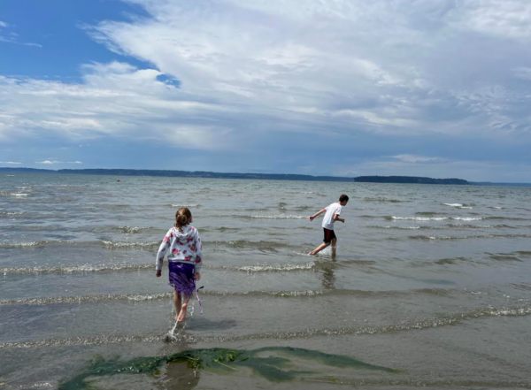Children playing in the sand at Jetty Island beach near Everett, Washington