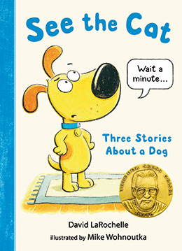 summer reading