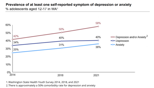 youth mental health solutions