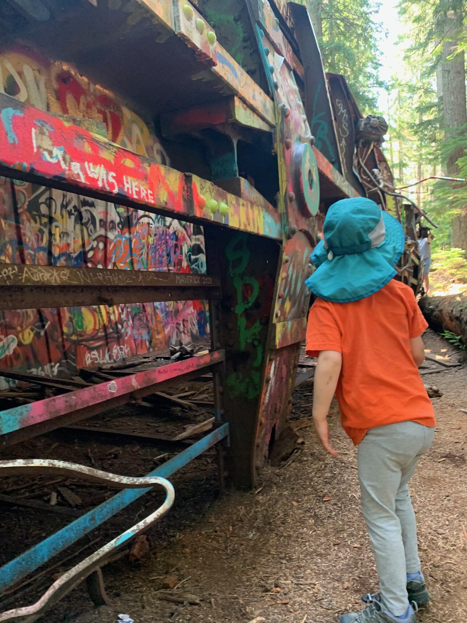 Hike to the crashed trains with graffiti all over them in Whistler.