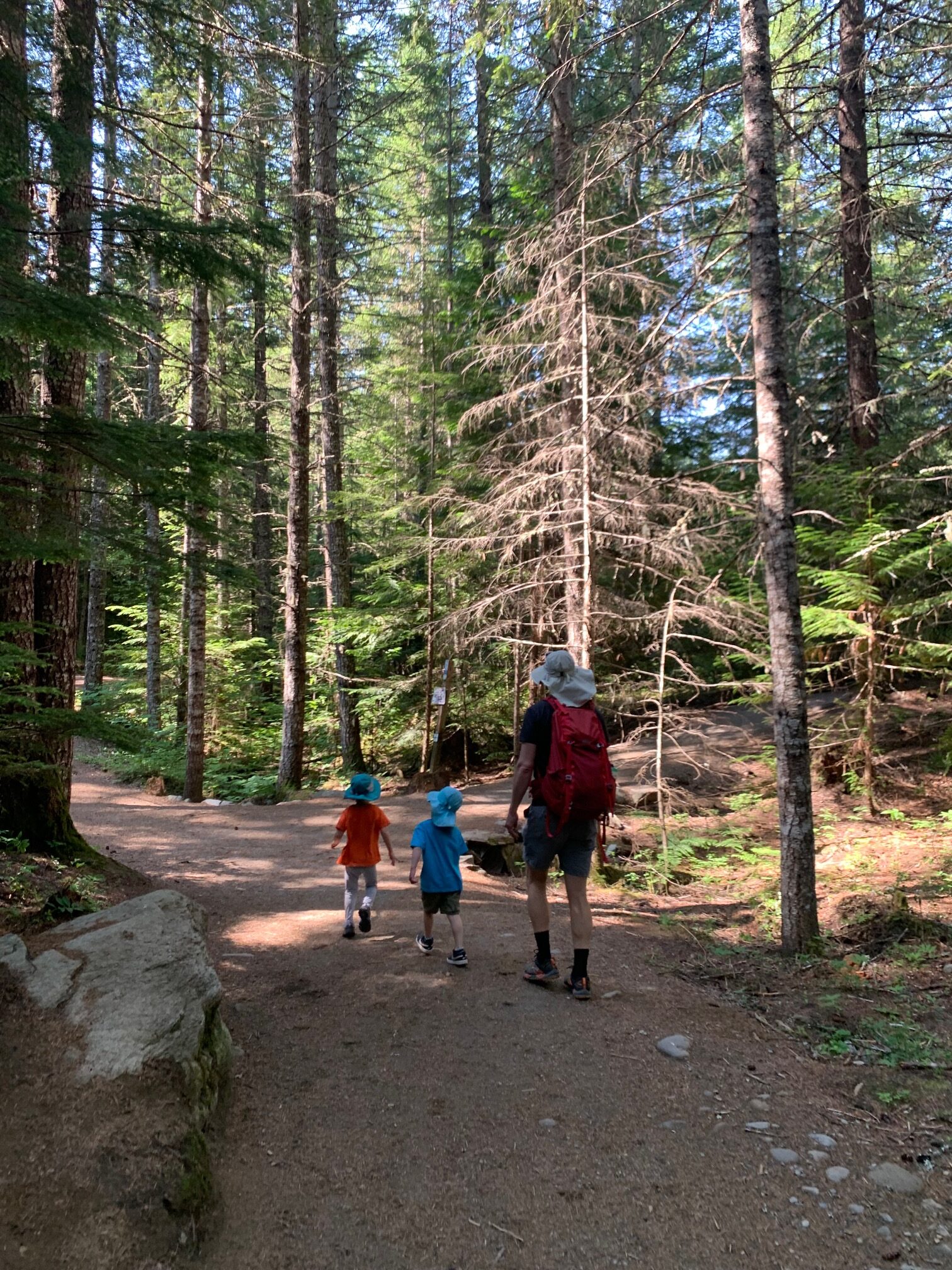 A short kid-friendly hike will lead you to Brandywine falls.