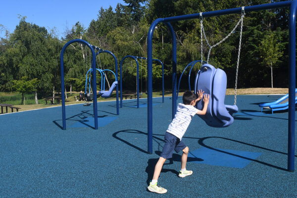 Many swings are available for all ages and abilities.