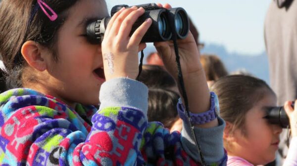 Puget Sound Birdfest