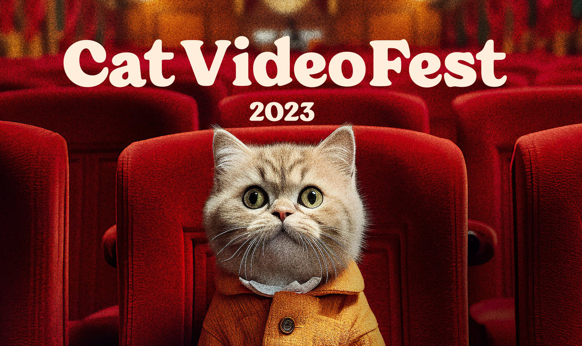 catvideofest and cat cafes