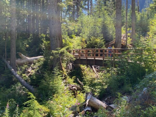 Wooden bridge crossing through forested wilderness on the Big Four Ice Caves trail, with trees and greenery all around.