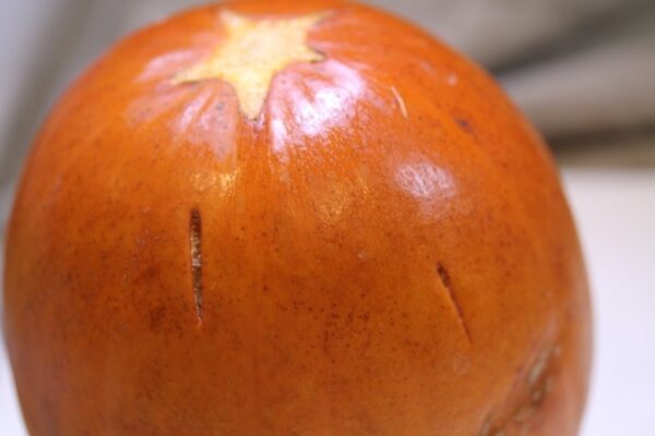 Eat a pumpkin