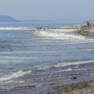 WA state parks website