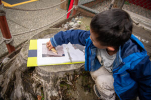 Sammamish Montessori student connecting found fossil to image in learning materials