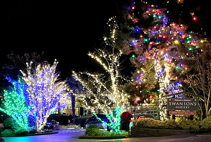 Swansons Nursery with holiday lights