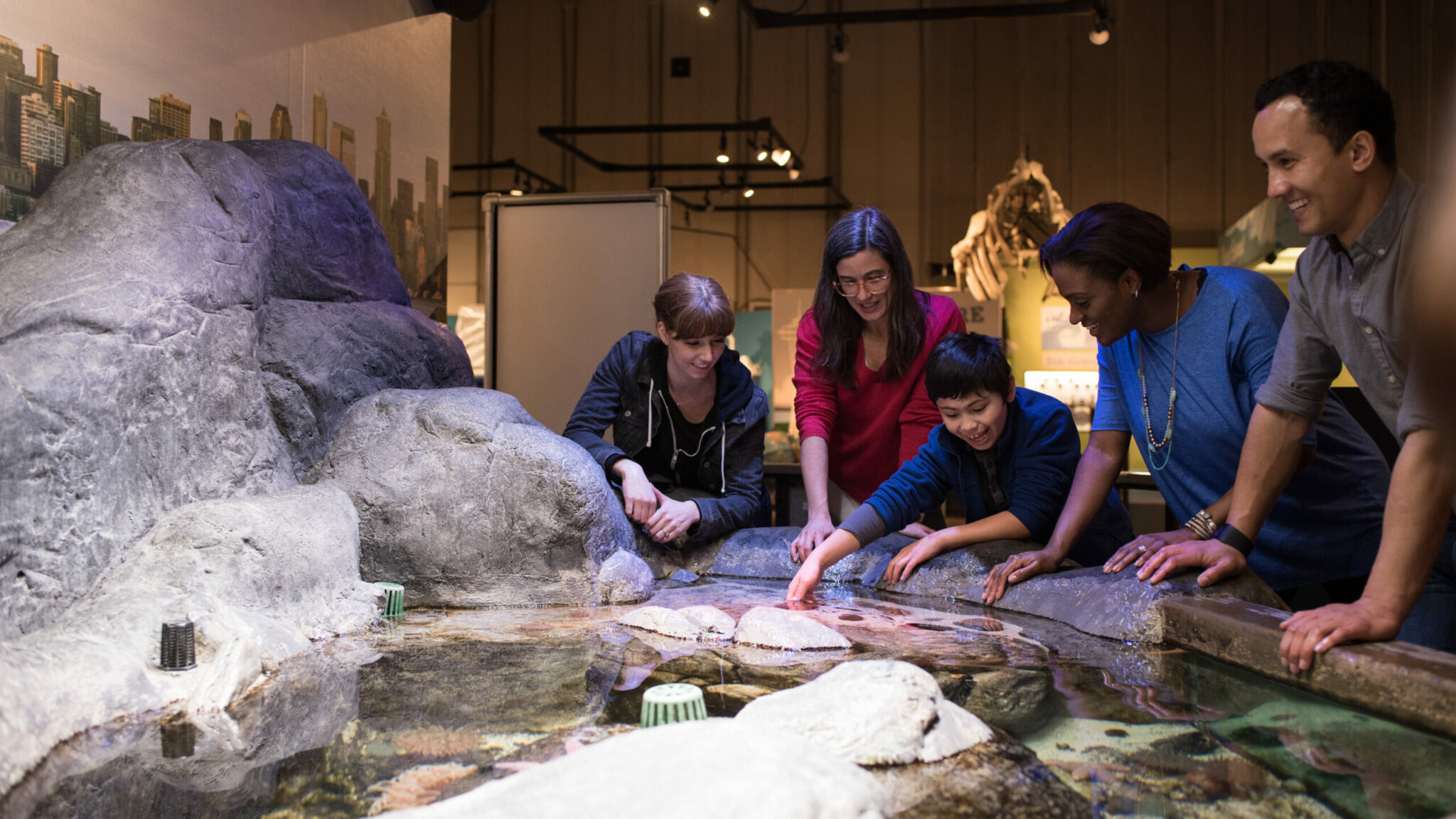 tide-pool-family-scaled
