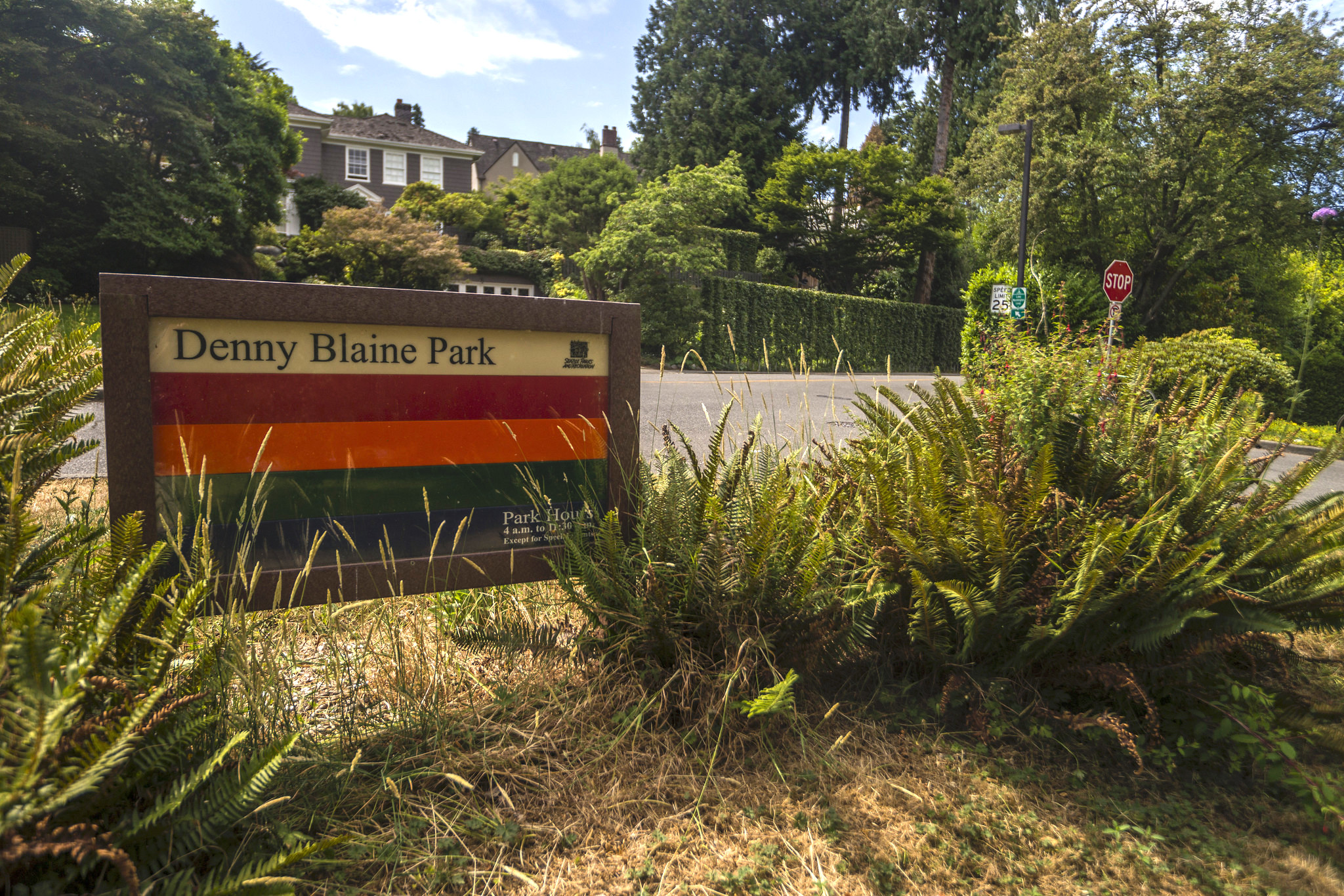 Denny Blaine Park plan