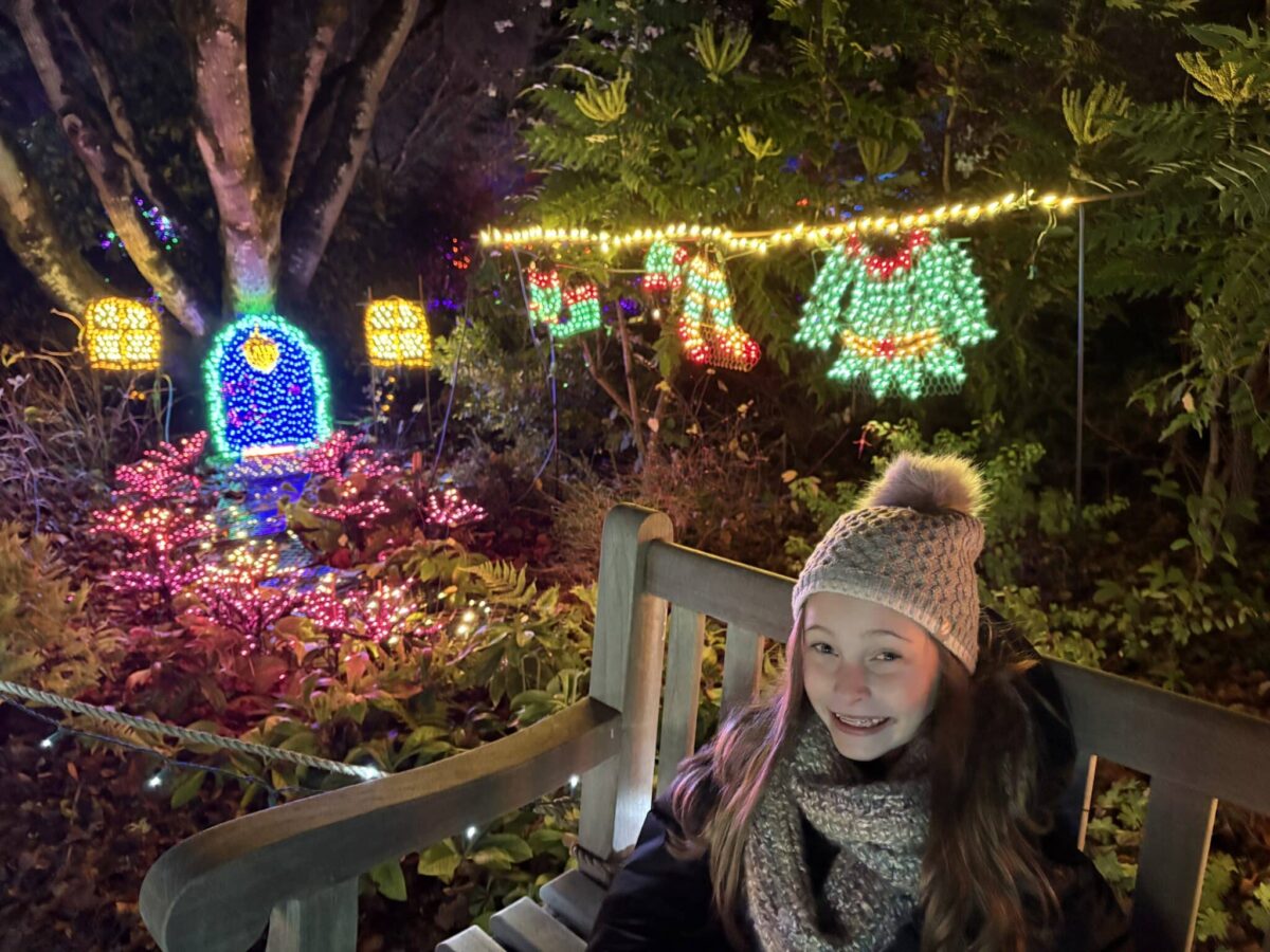 Garden d'Lights at Bellevue Botanical Garden | 2025 Review