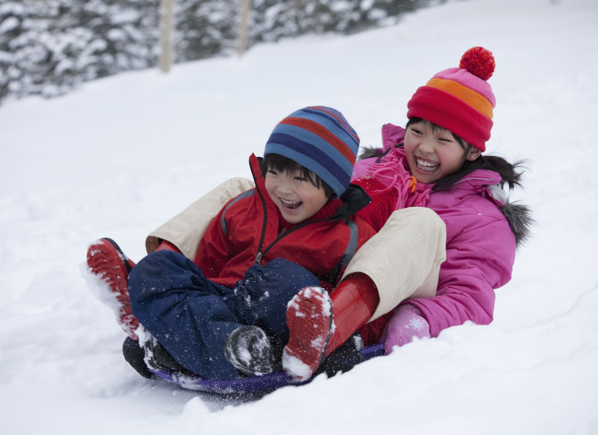 free things to do during winter break