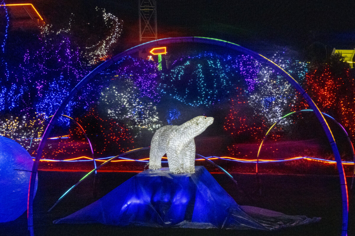 Point Defiance ZooLights: 2025 guide to Tacoma's holiday lights