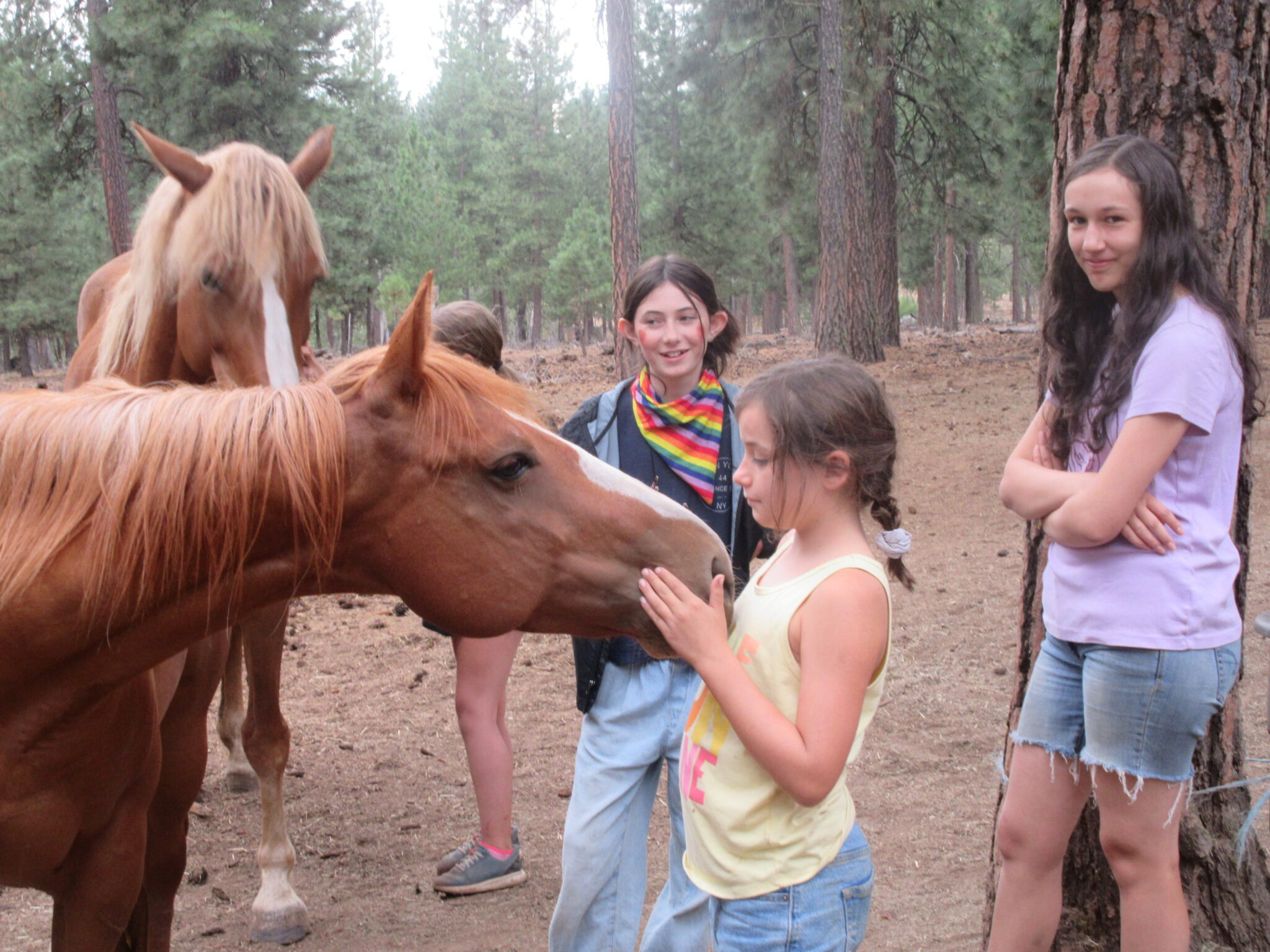 ekone summer camp