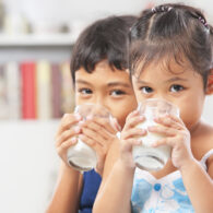 toddler milk