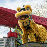 lunar new year chinatown