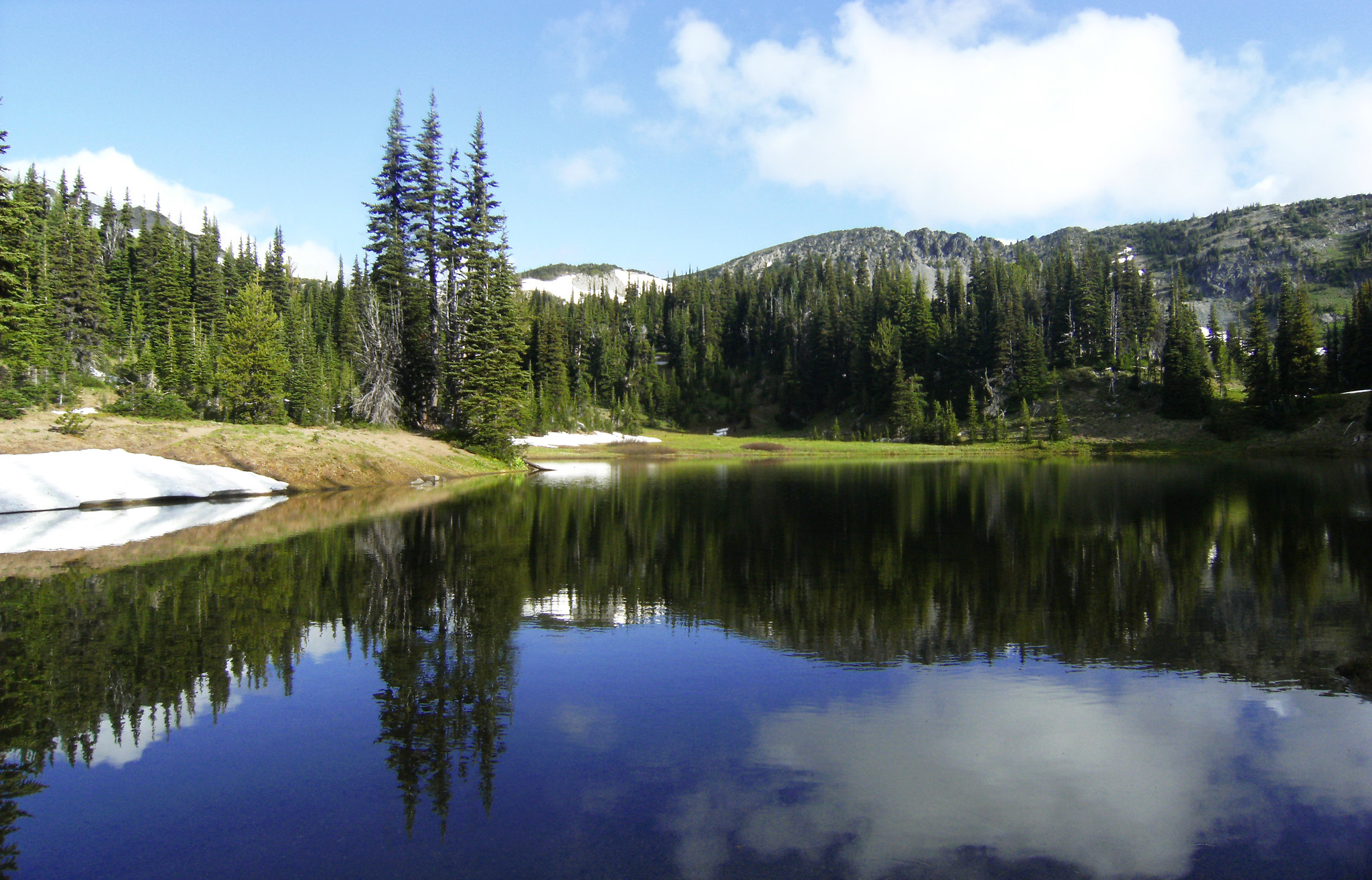 Mount Rainier reservation changes