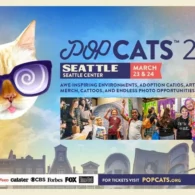 pop cats seattle