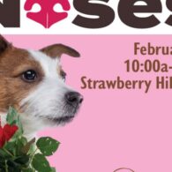 Roses-and-Noses