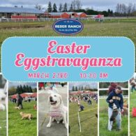 easter egg hunt reber ranch
