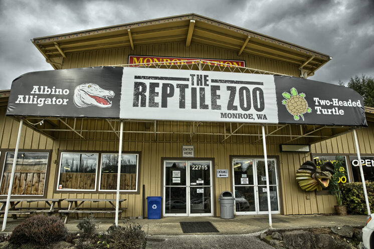 Close Encounter at The Reptile Zoo - Seattle's Child