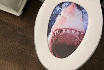 April Fools shark toilet