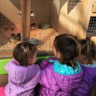 Girls-with-baby-chicks-at-Swansons-Nursery