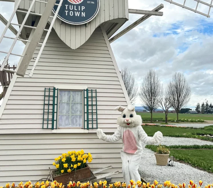 tulip town easter egg hunt