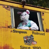 Simpson Railroad Easter Bunny train source FB