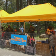 earth-day-petting-zoo