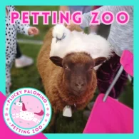 petting zoo