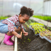 Child play planting the green tree in the garden.